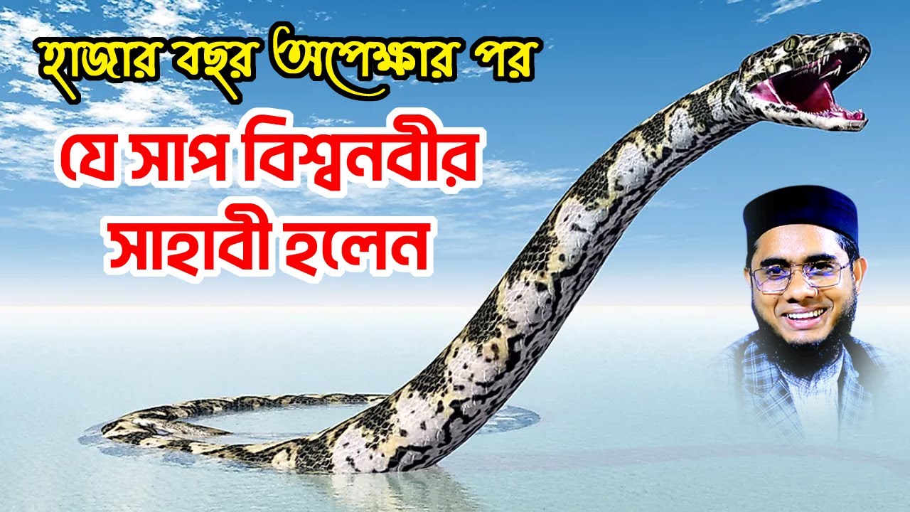 হাজার বছর অপেক্ষার পর যে সাপ সাহাবী হলেন shahidur rahman mahmudabadi bangla waz 2022 মাহমুদাবাদী