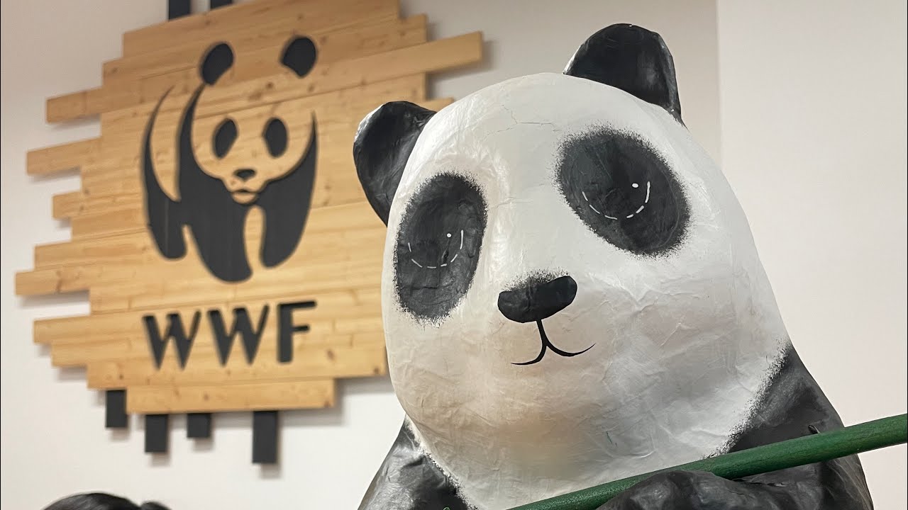 D&eacute;couvrez le si&egrave;ge de WWF France