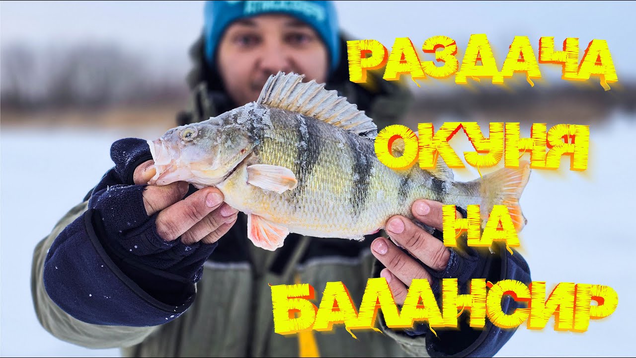 РАЗДАЧА окуня на БАЛАНСИР 💪💪💪 ОТЛИЧНАЯ рыбалка со льда 👍