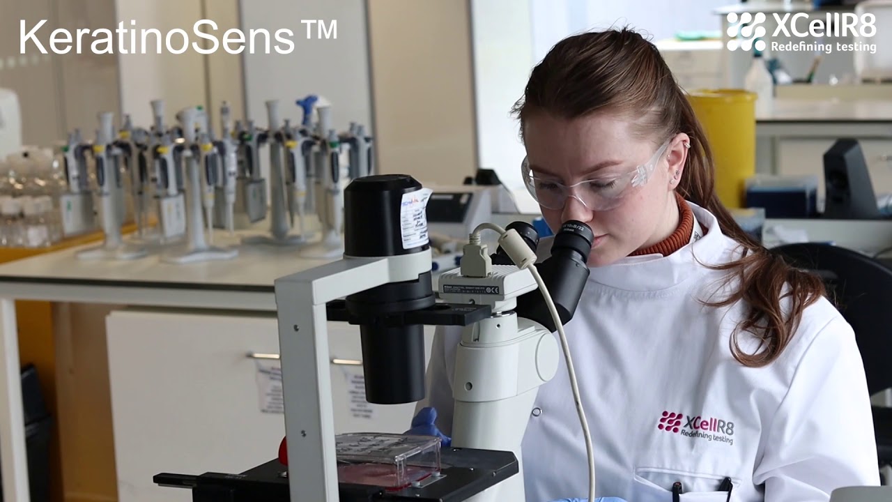 How in vitro skin sensitisation tests work