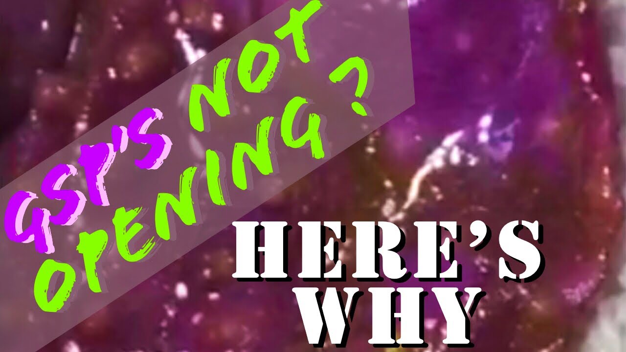 Green Star Polyps NOT OPENING ? Here's Why !!!! - A1A Adventures