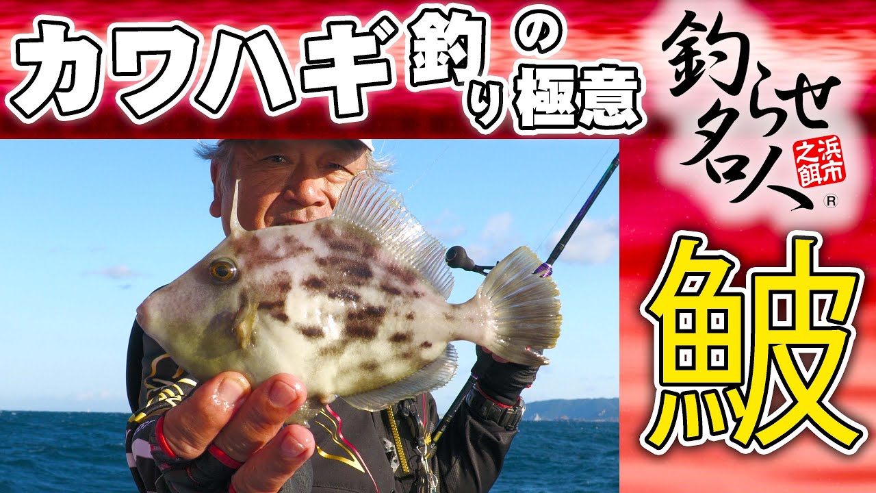カワハギ釣りは基本動作で攻略可能！！　これからカワハギ釣りを始める人や初心者の方も釣れる簡単テクニックをご紹介