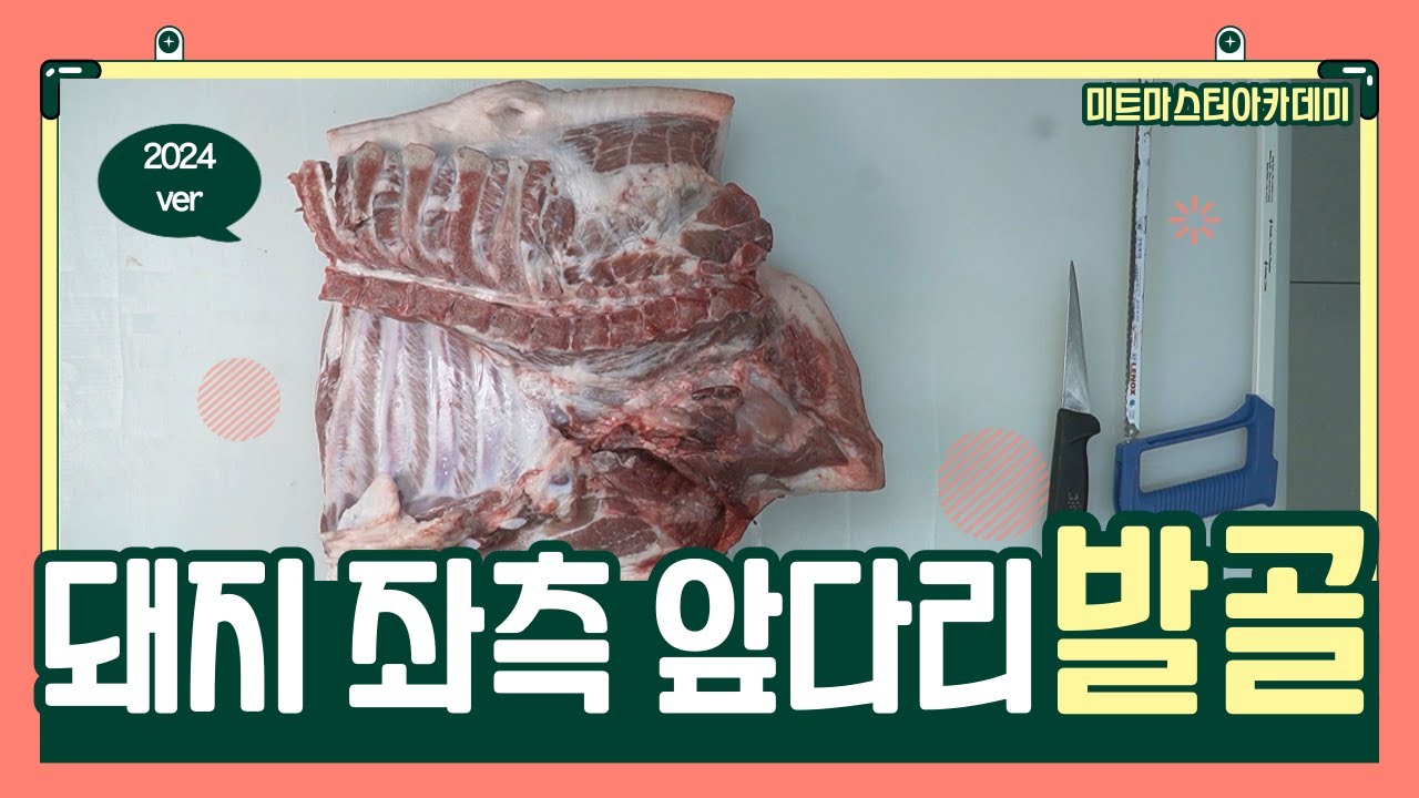 2024 식육처리기능사 실기대비 _ 돼지 앞다리 발골 (좌측) _ 7