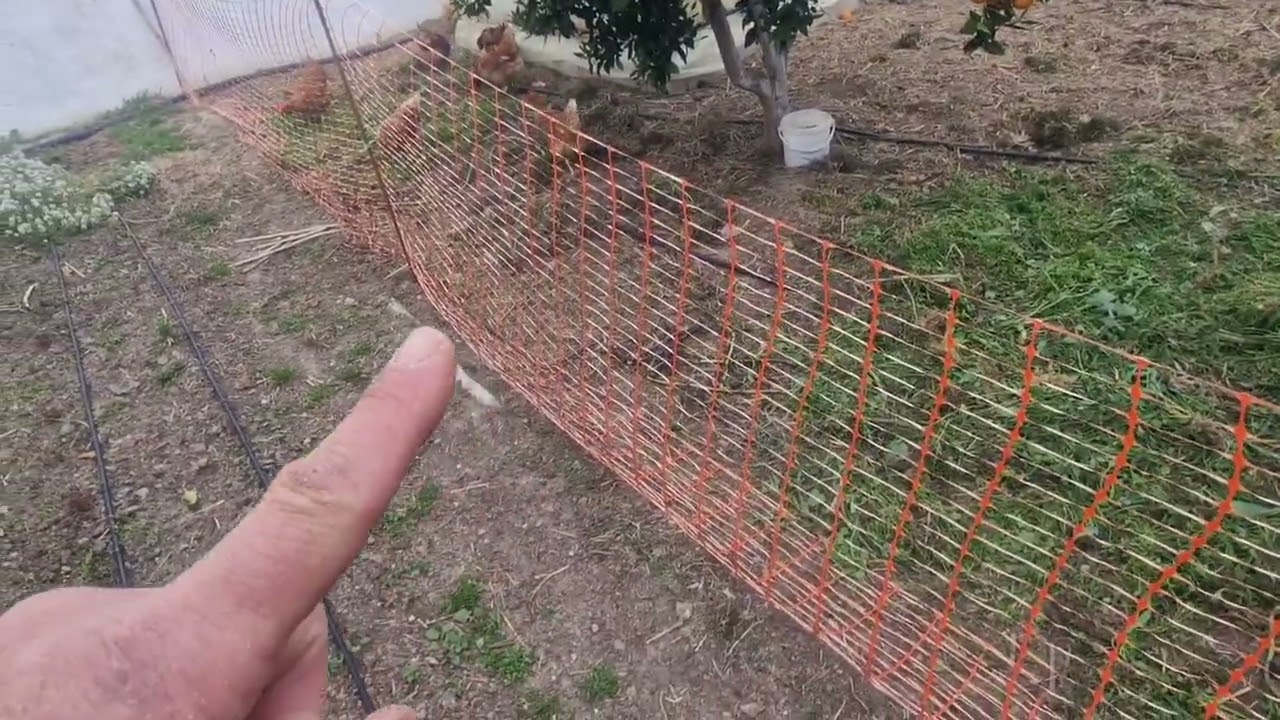 Limpieza de bancales. Explico que me pasa en el huerto N°2.