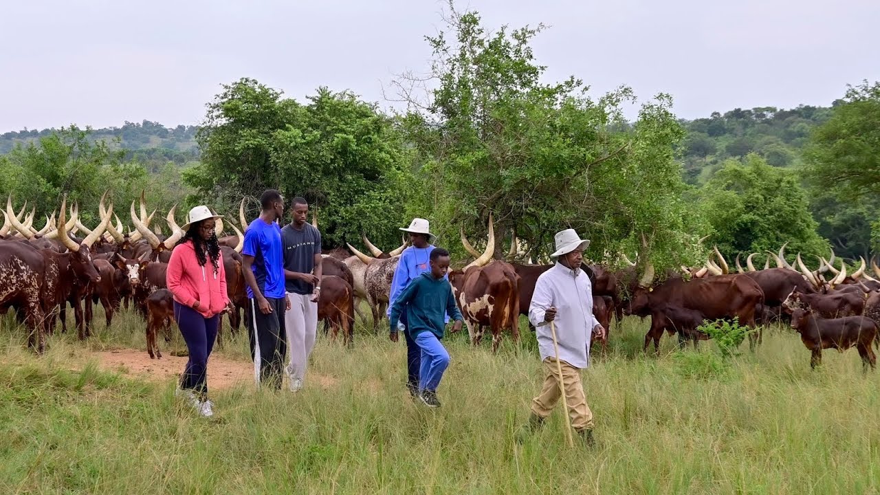 Museveni walks around Rwakitura on Christmas Day with wife Mama Janet Kataha.