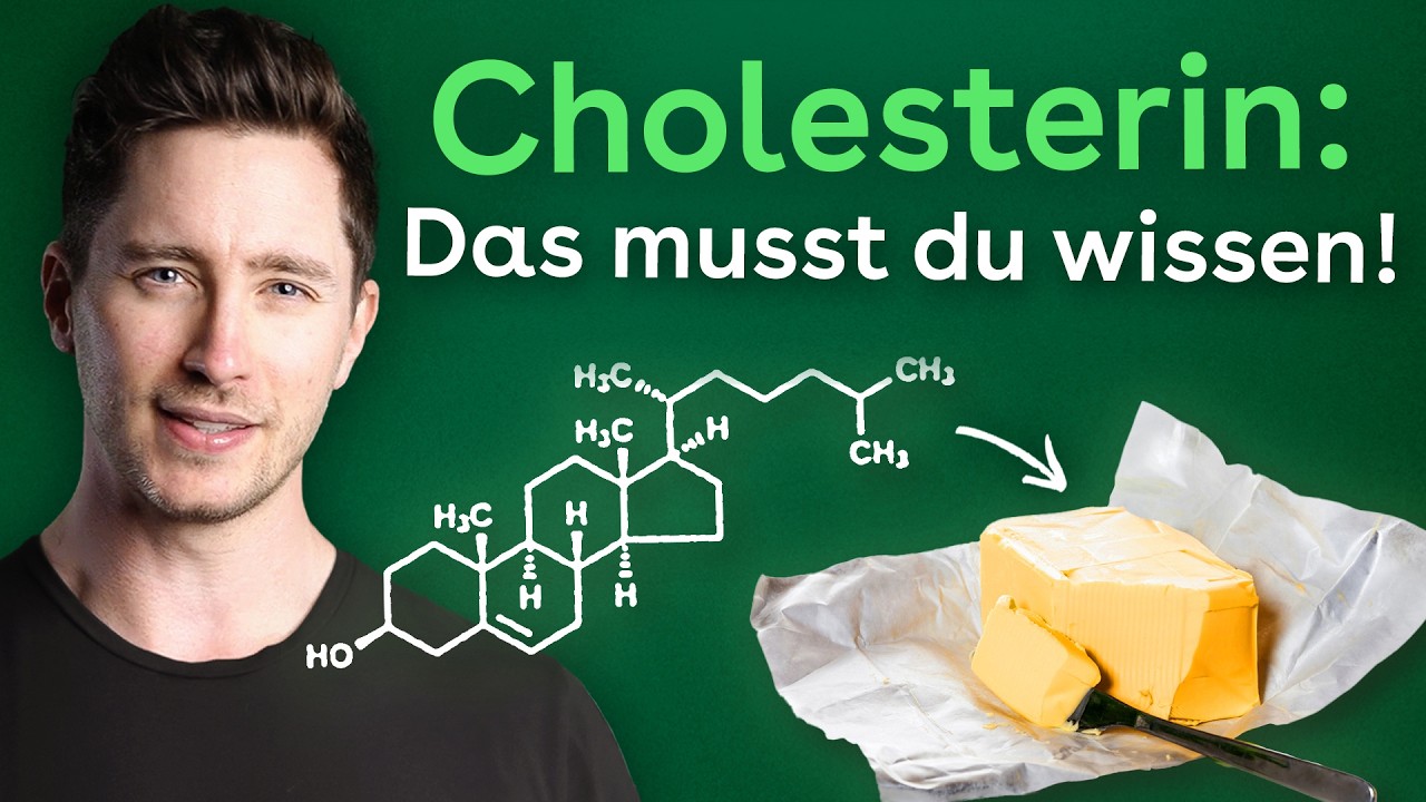 Cholesterin einfach erklärt: Was du über LDL & HDL wissen solltest