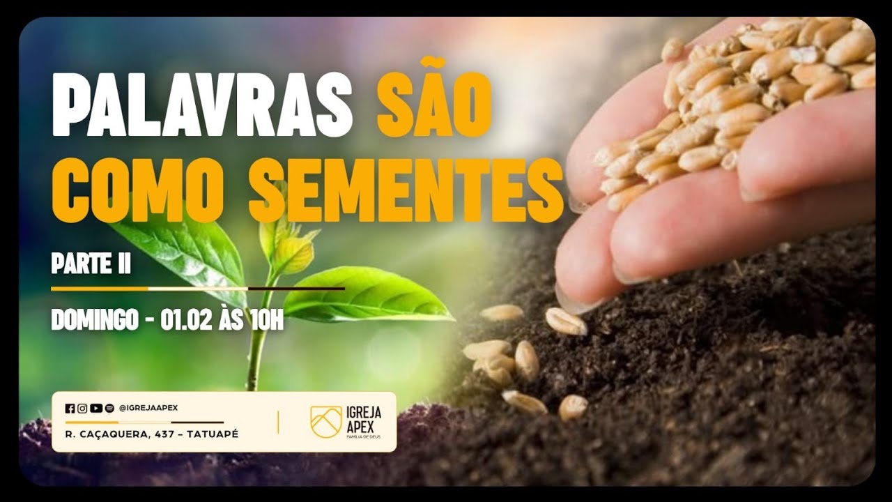 Palavras são como sementes - Parte 2