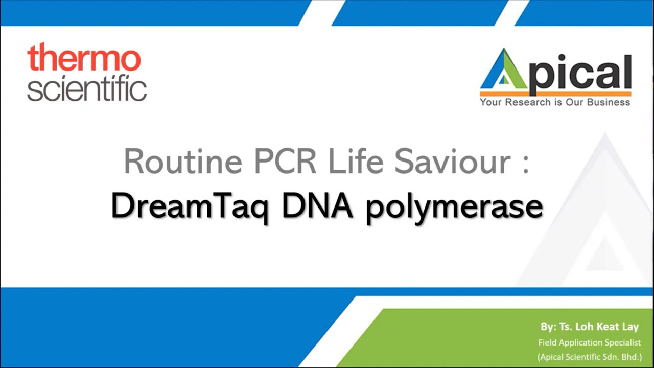 Thermo Scientific Webinar  Routine PCR Life Saviour – DreamTaq DNA polymerase 09052024