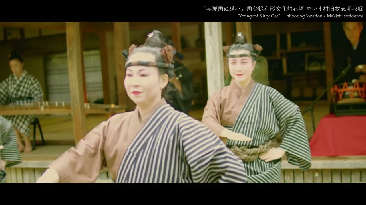 与那国ぬ猫小