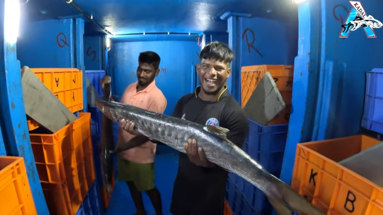 “The King of the Catch” | “The Lightning Mackerel” | “Deep Sea Torpedo” | Silver Speedster |#KadalTV
