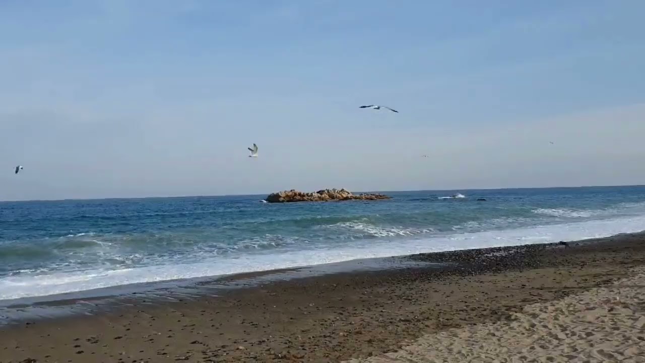 Gyeongju Tomb of King Munmu #Sea #Waves #Seagulls #Healing #RepeatListening