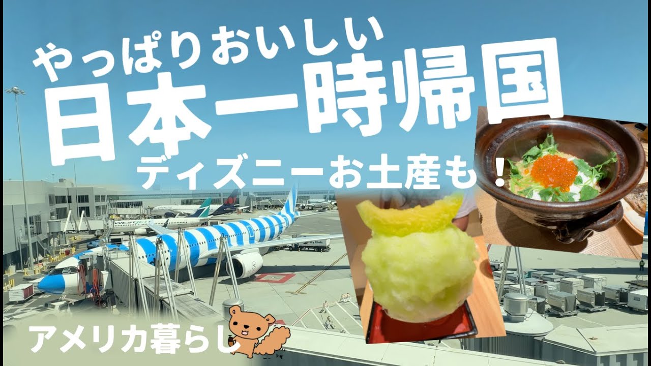 夏だ！日本一時帰国だ！ご飯だ！ディズニーだ！な夏休み！ファンタジースプリングのお土産も！