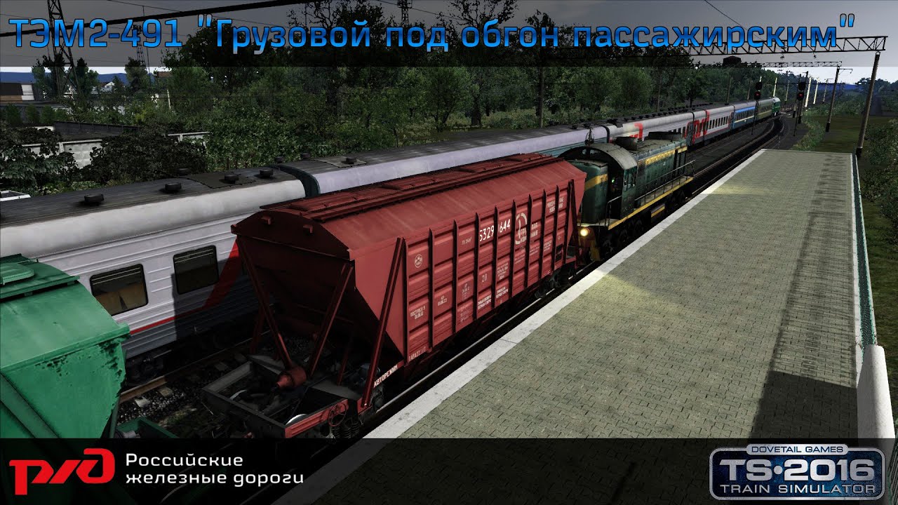 ТЭМ2-491 
