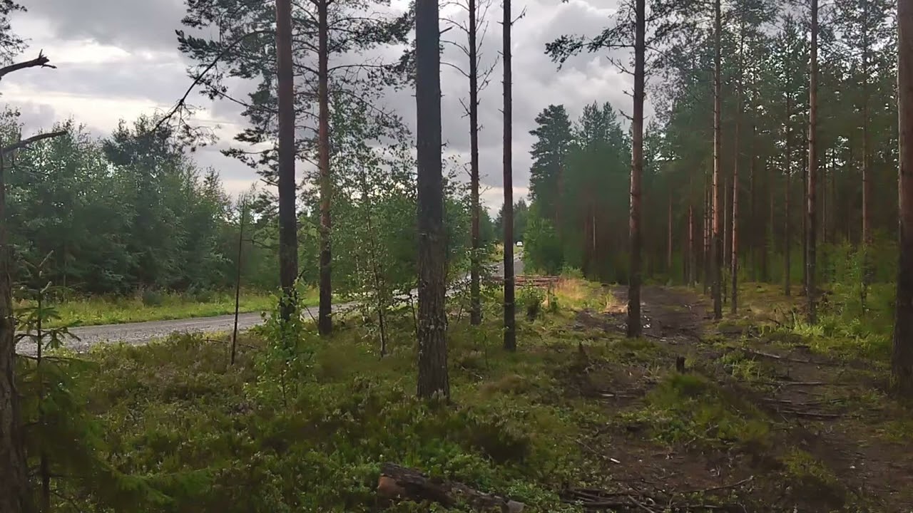 Secto Rally 2025 Vetomiehet | Leustu | Lada 1200 | Matti Friman ja Petri Seppänen  