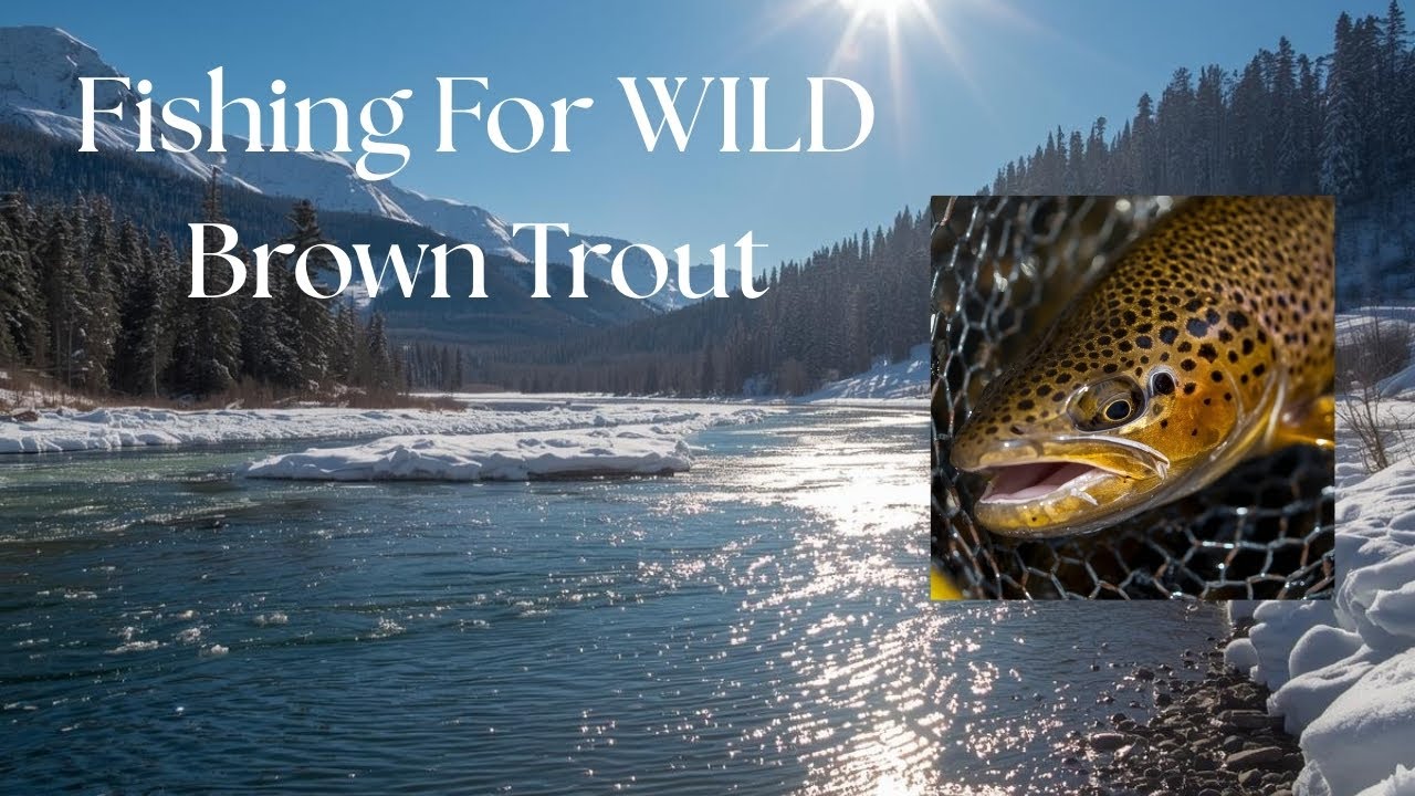 Fishing on The Snake River Once Again. Ep. 8