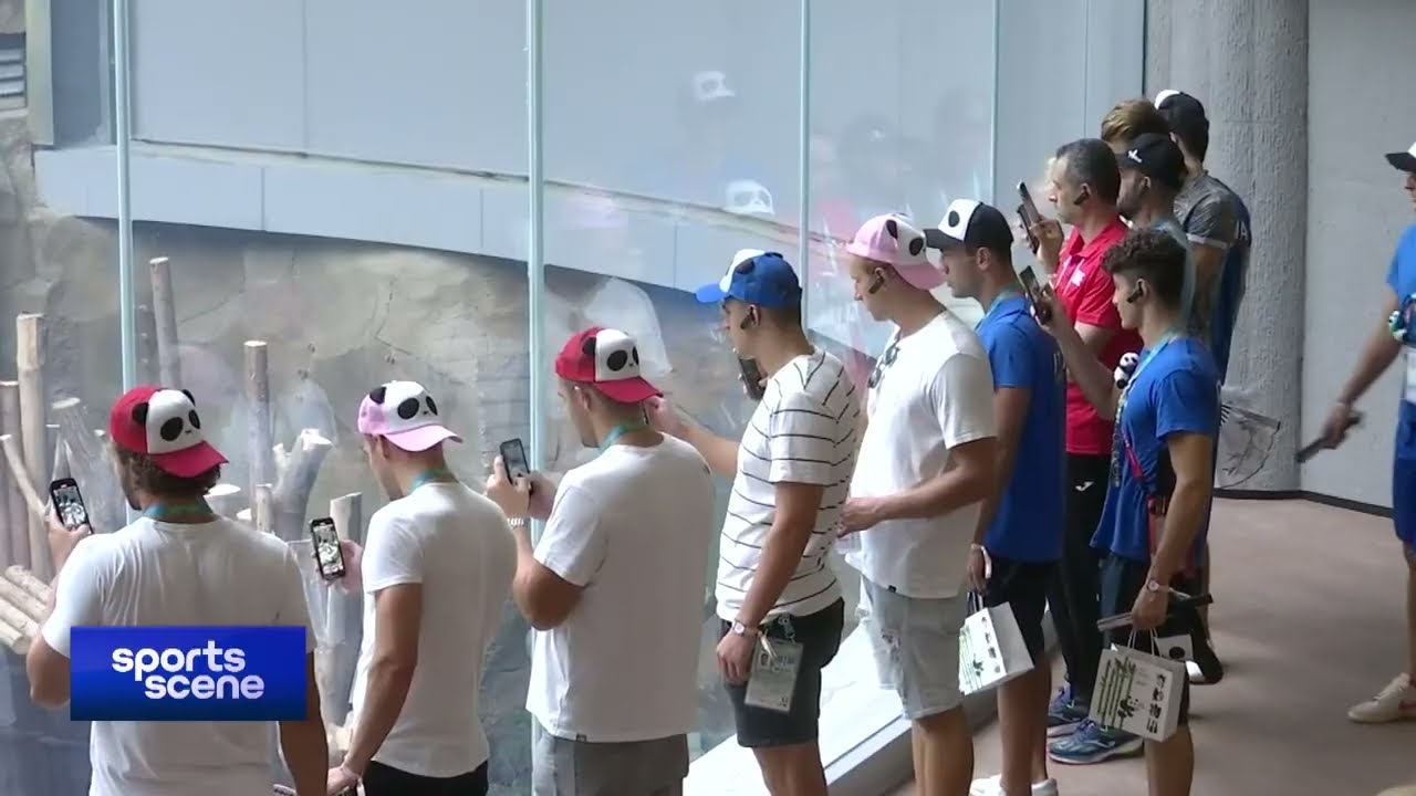 Overseas athletes wearing cute panda caps visit the Chengdu Research Base of Giant Panda Breeding 熊猫