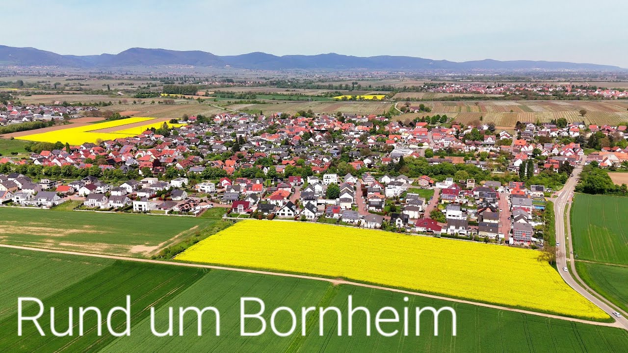 Rund um Bornheim