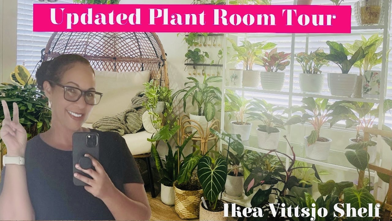 Plant Room Tour || Featuring Ikea Vittsjo Shelf || Aglaonema Display #plants