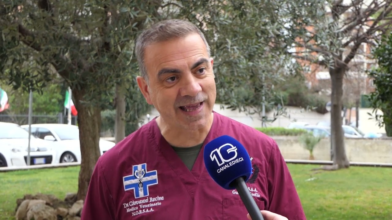 Animali, al via un corso per diventare guardia ambientale zoofila - Canale 10