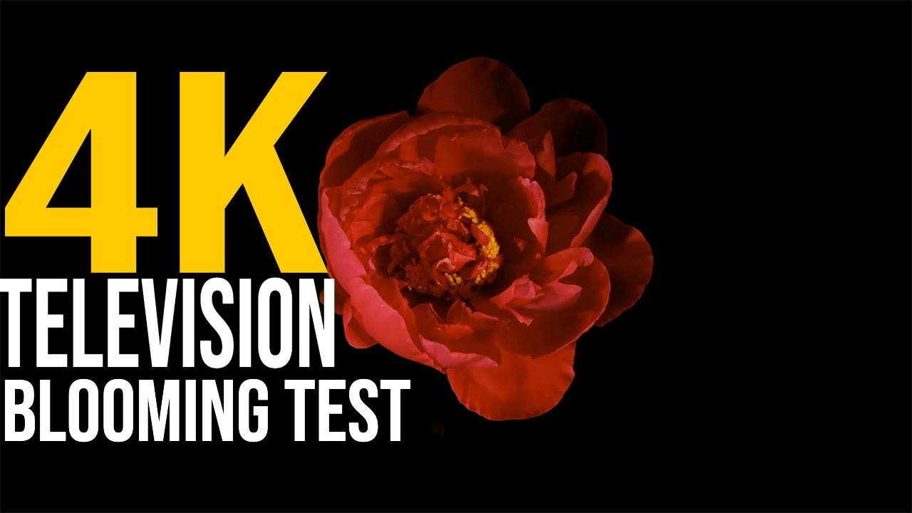 TV Blooming Test - See How Well Your Display Perform