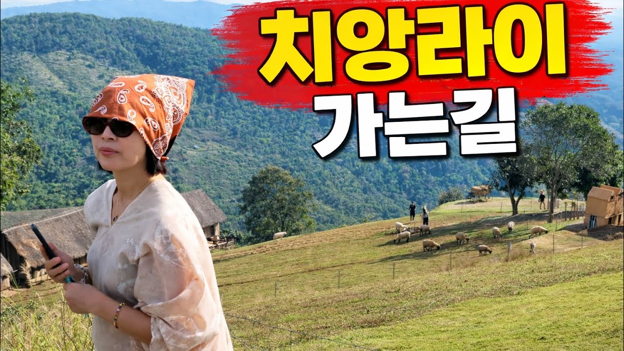 #치앙라이여행계획짜기#골프와치앙라이#치앙라이백색사원청색사원