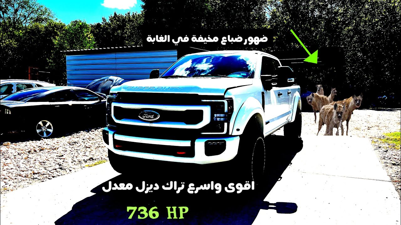 وحش امريكي لايضاهيه منافس ،ضهور الضباع في الكراج