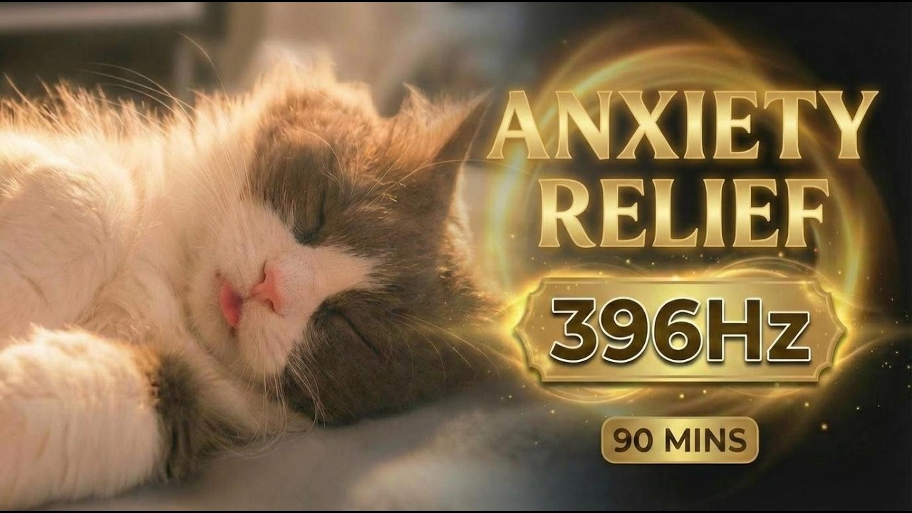 90 Mins 396 Hz Soothing Piano with Sleeping Cat | Find Inner Peace, Release Anxiety