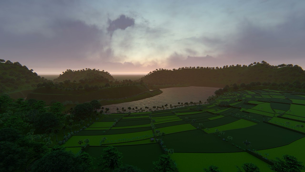 sunrise view in the rice field