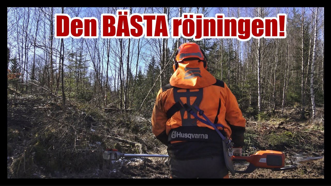Vilken är den bästa röjningen? Här har du svaret!