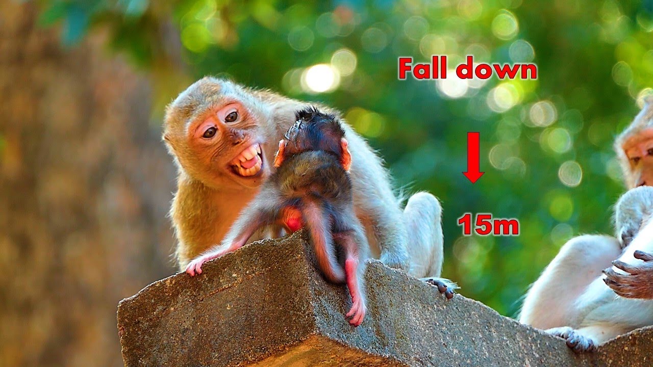 God help.! Pitiful, Newborn  falls from a tall rock 15m This is the negligence of the young mother