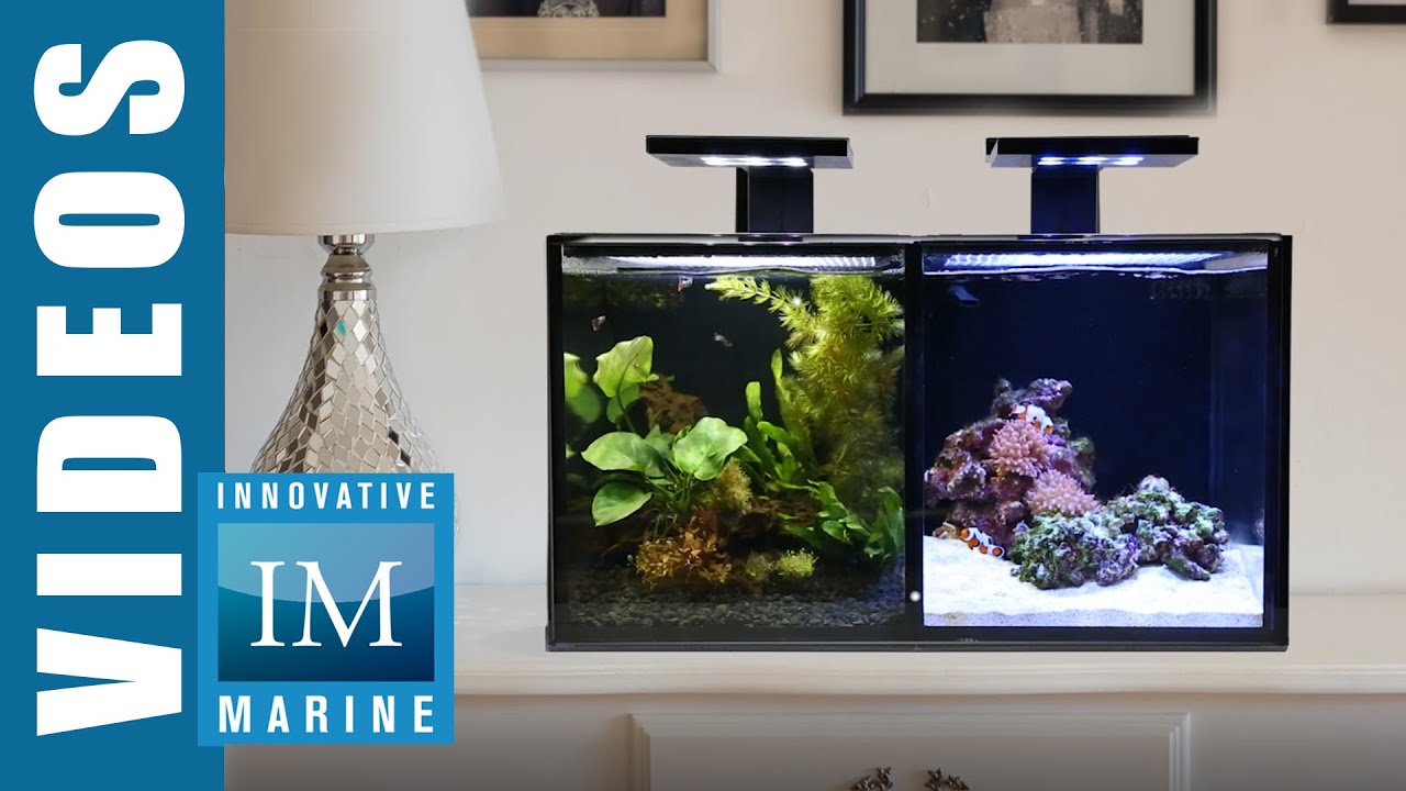 NUVO Concept Encore PRO 2 IN 1 Aquarium
