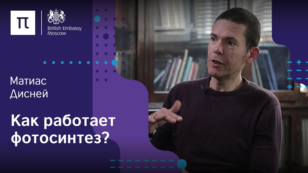 Фотосинтез &mdash; Матиас Дисней / ПостНаука