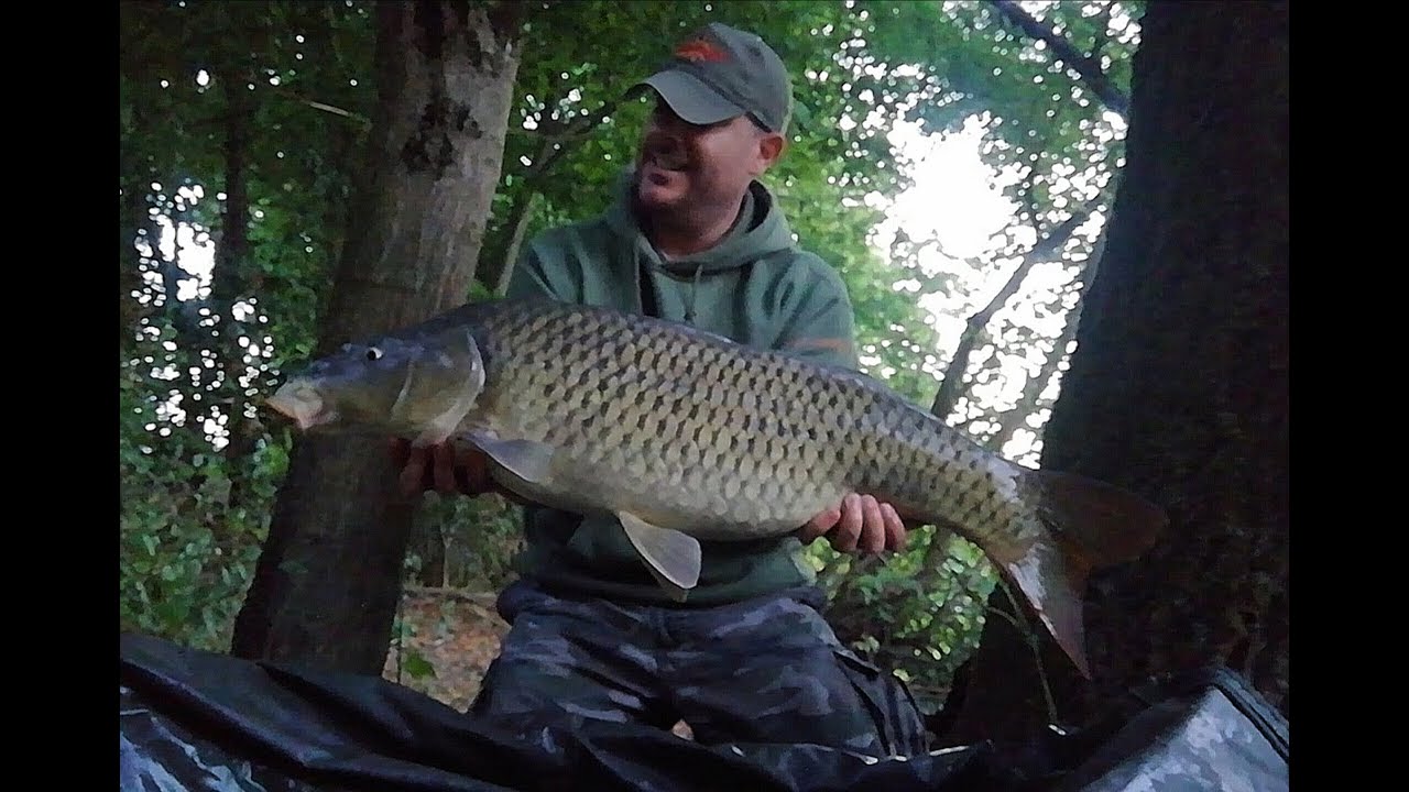 Carp Run Compilation - Canal Bianco - Vol.3