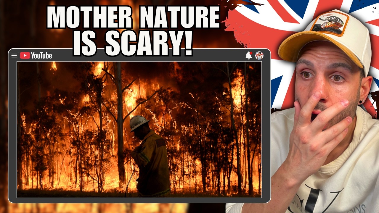 British Guy Reacts to Craziest Nature Videos Caught on Camera!