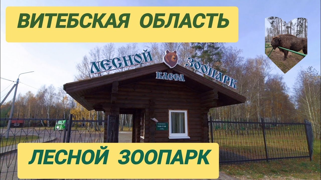 Беларусь. Витебская обл. Лесной Зоопарк 🐻