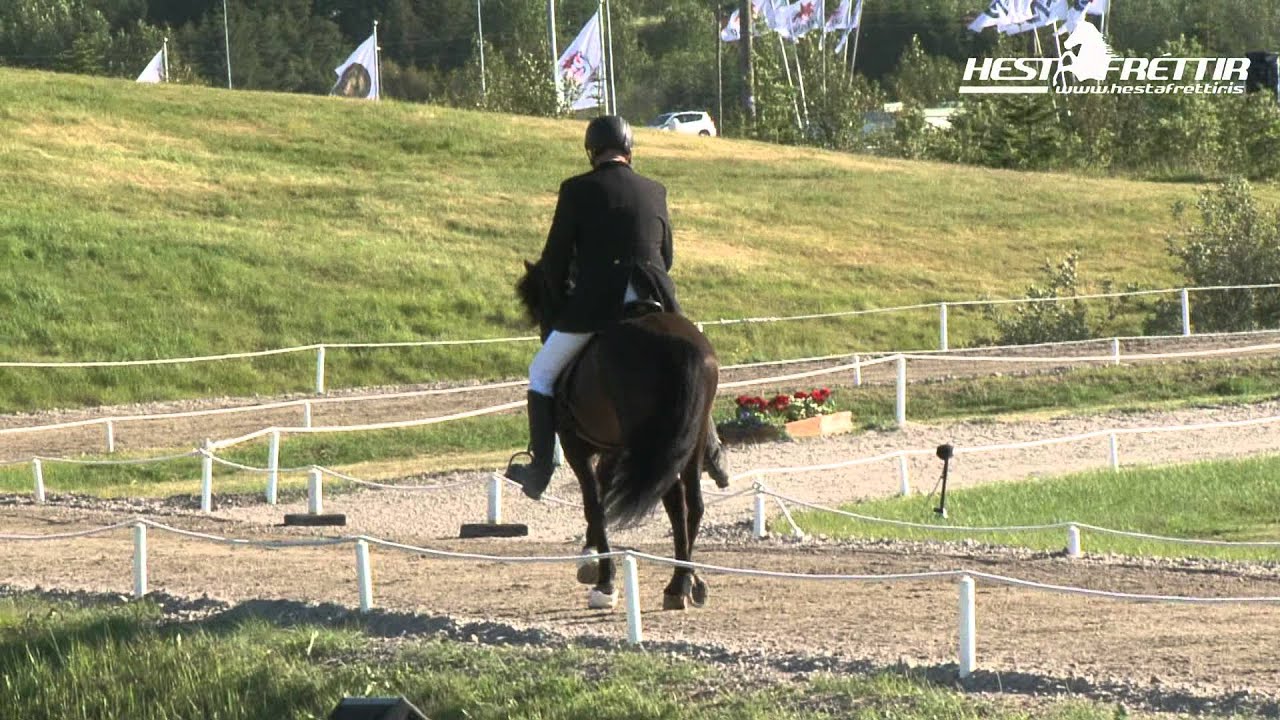 Loki selfoss