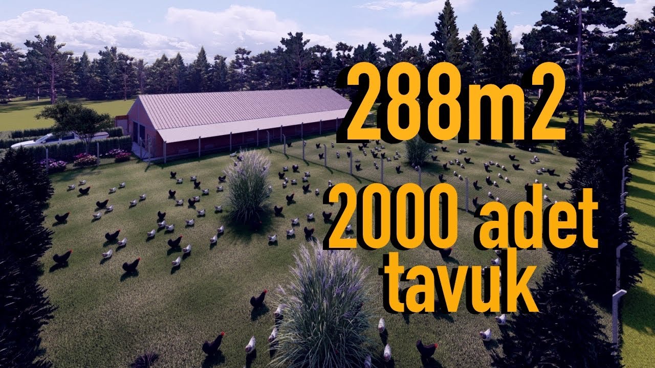 MODERN GEZEN TAVUK ÇİFTLİĞİ PROJE MALİYETİ#3d #lumion #chicken #TAVUK #SKETCHUP