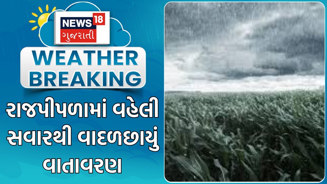 Naramda Weather News | રાજપીપળામાં વહેલી સવારથી વાદળછાયું વાતાવરણ | Unseasonal Rain | Gujarati News