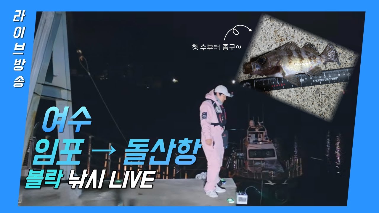 쭌이와바다 69화 출조6일차 여수 임포방파제 볼락 얼굴보고시작#실시간낚시 #낚시라이브 #여수낚시 #임포방파제 #바다낚시라이브 #쭌이와바다
