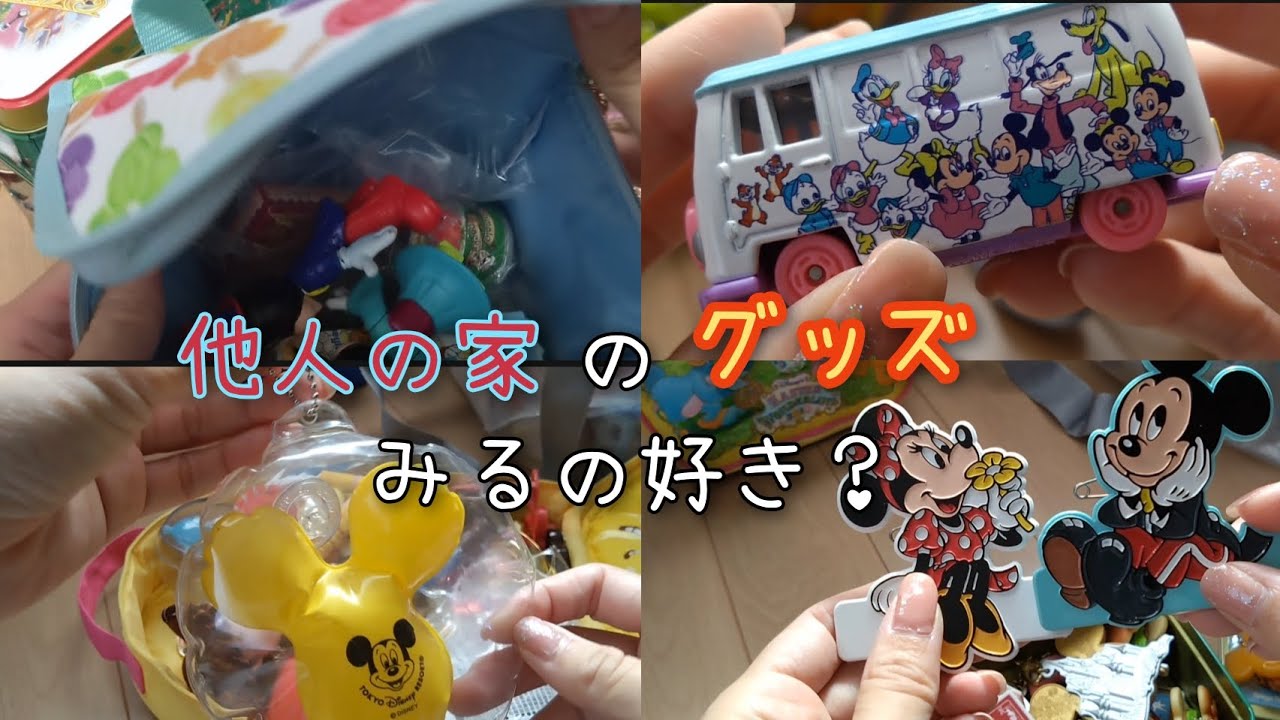 【収集癖あり】持ってるディズニーグッズ...✨️部屋の主も把握してないなんてね😝　