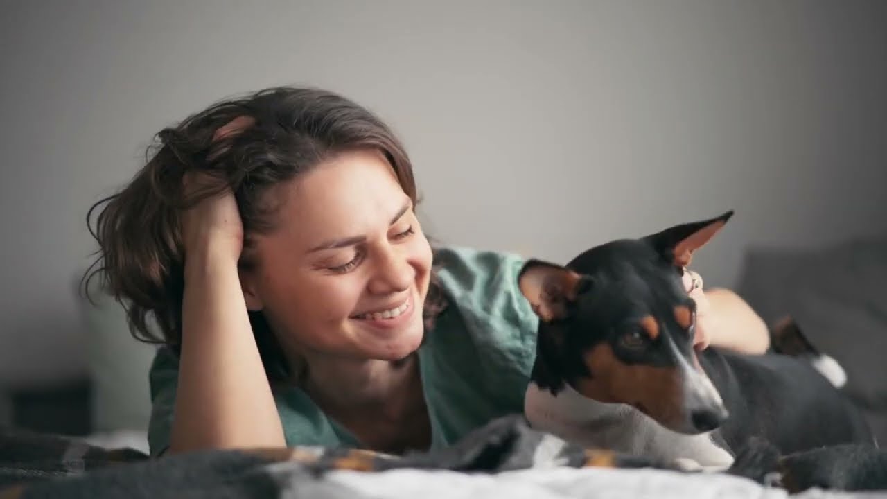 Объяснение 40 самых странных поведений собак! | K9Pedia