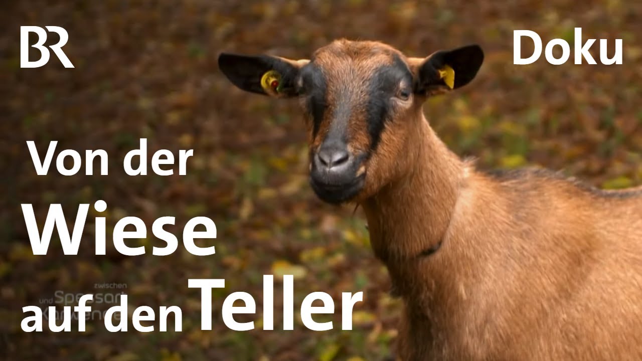 Bocksbraten: Paul Enghofer beim Kochen zur Kerwa | Doku | Zwischen Spessart und Karwendel | BR