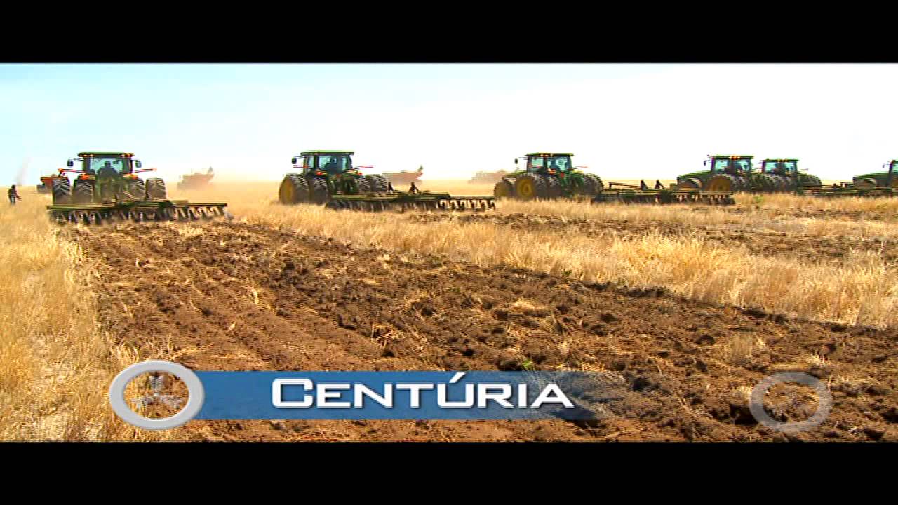 ARTE NO CAMPO