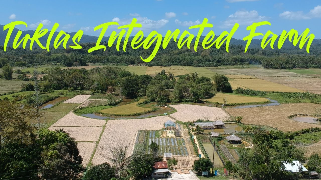 An Award-winning farm in Roxas, Palawan