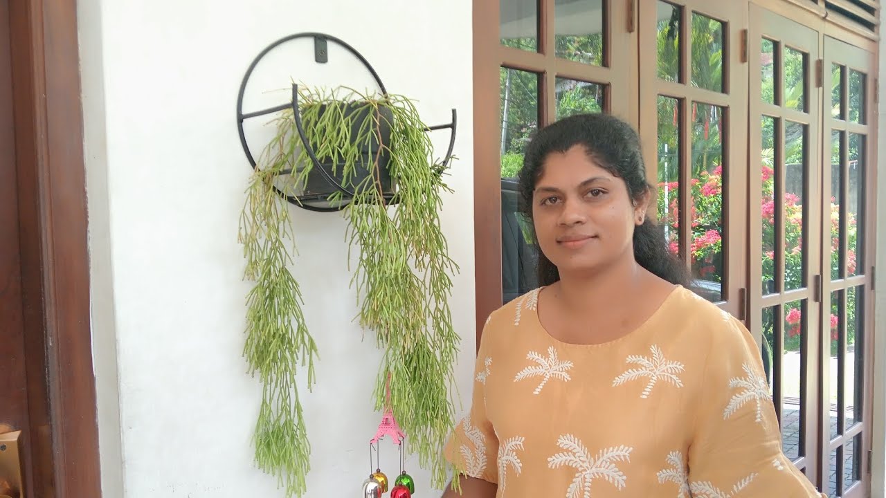 Updates of My Garden
