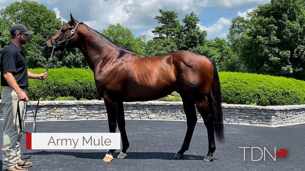 Fresh Off a Hot Saratoga, Army Mule Soldiers on to Keeneland