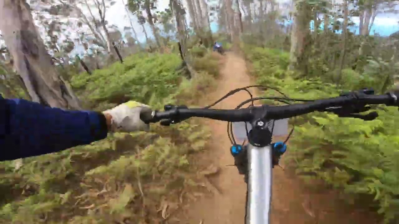 3ºTaça da Madeira de Downhill - Black Line, Madeira, Prazeres (Treinos) ll Anselmo Rodrigues