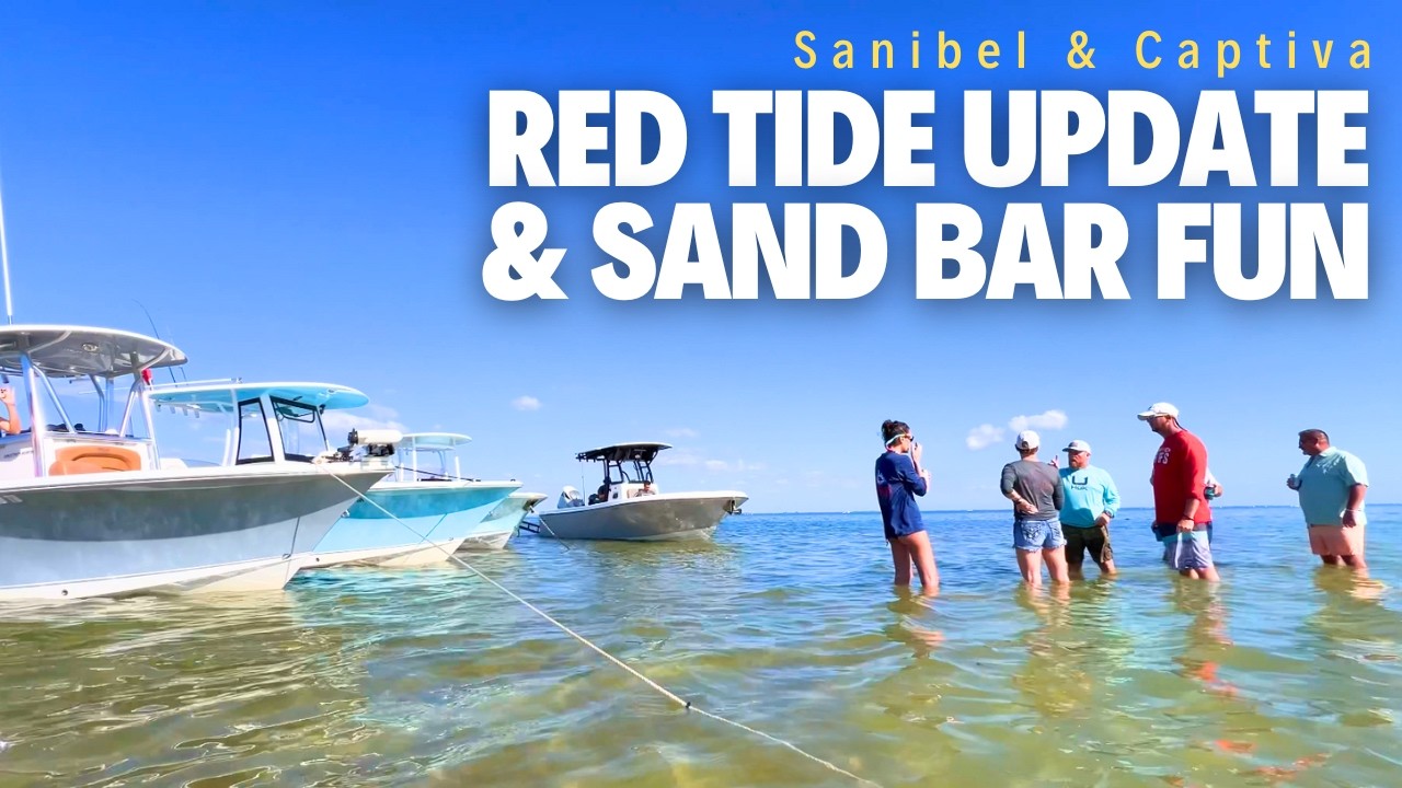 Red Tide Update For Sanibel Island, Mainstays, and Sand Bar Fun