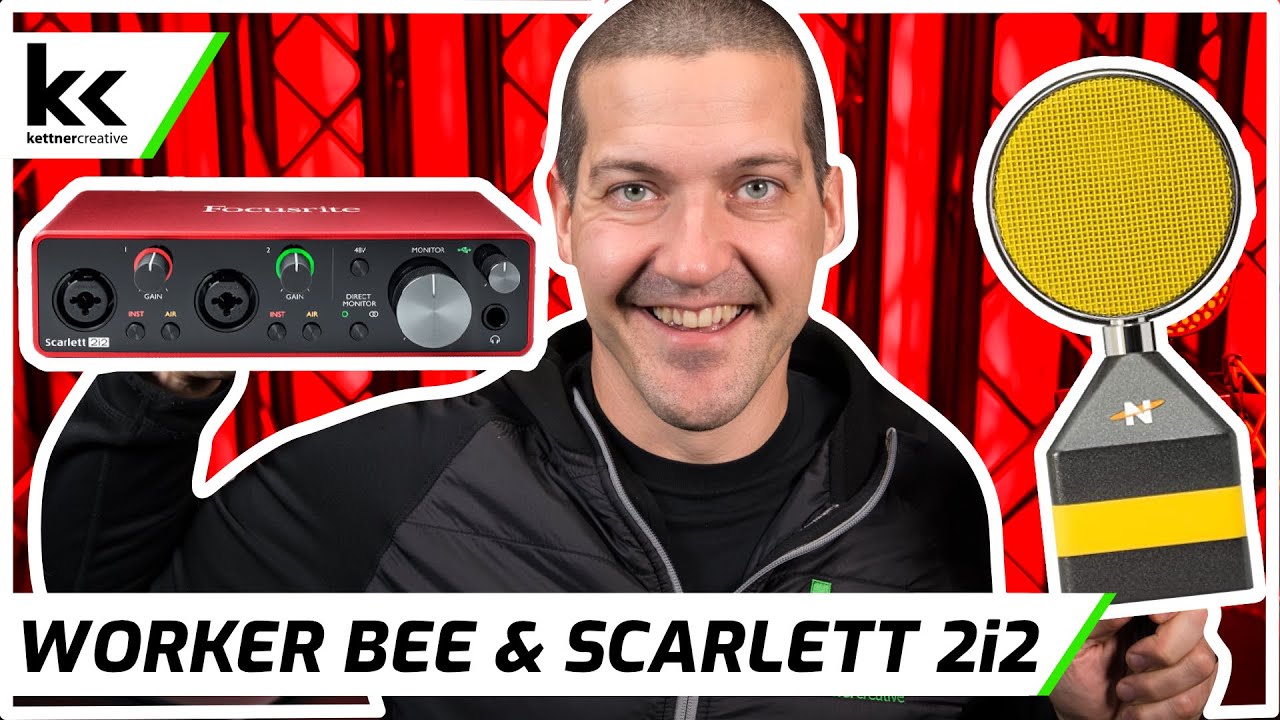 NEAT Worker Bee & Focusrite Scarlett 2i2 | Setup & Demo