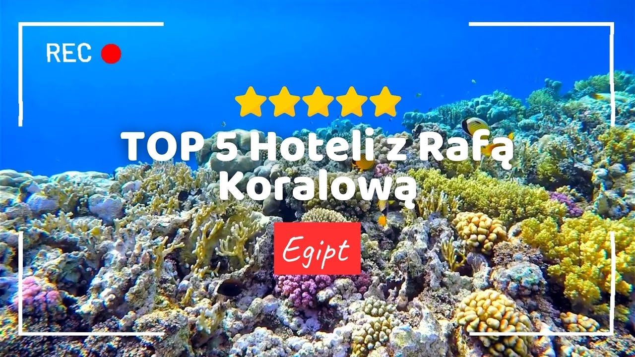 HOTELE Z NAJLEPSZĄ RAFĄ KORALOWĄ W EGIPCIE, TOP 5 HOTELI Z RAFĄ EGIPT 🇪🇬🐠 #egipt #wakacje